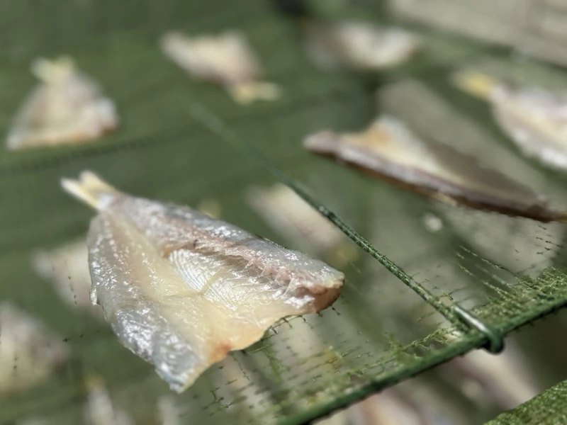 JPEG画像-485A-A0AC-E1-0